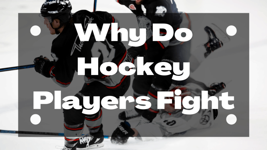 Why Hockey Players Fight Get Hyped Sports
