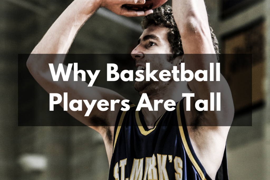 Why Basketball Players Are Tall – Get Hyped Sports