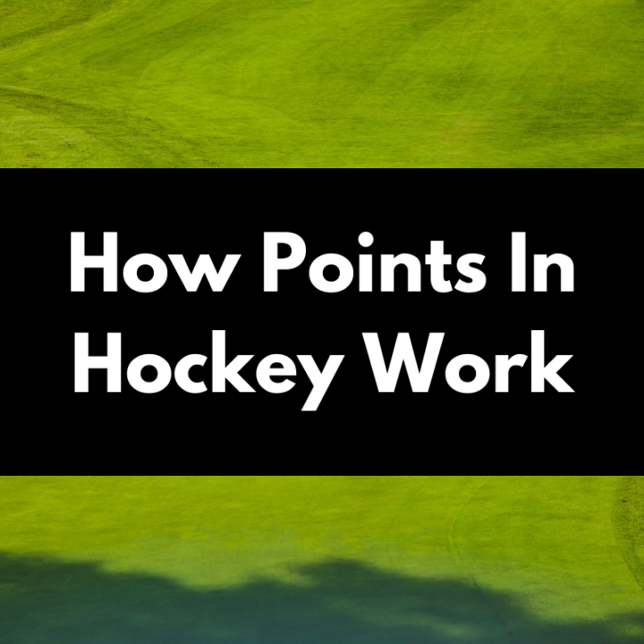 How The Point System Works In Hockey Get Hyped Sports