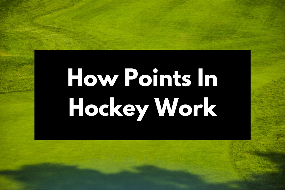 How The Point System Works In Hockey Get Hyped Sports